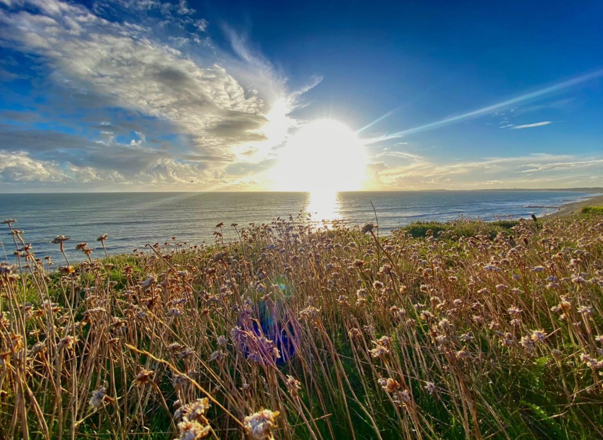 Seaside Escape In Central Bournemouth Spacious Stylish & Inviting Urban Heights Ngoại thất bức ảnh